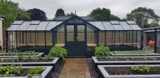 Swan Greenhouse 8'9 x 30'3 - Painted - Taylors Garden Buildings