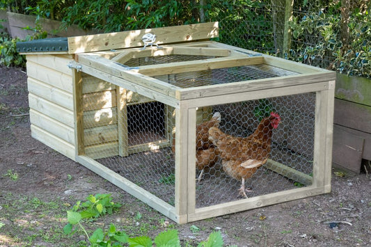 Forest Large Coop & Run