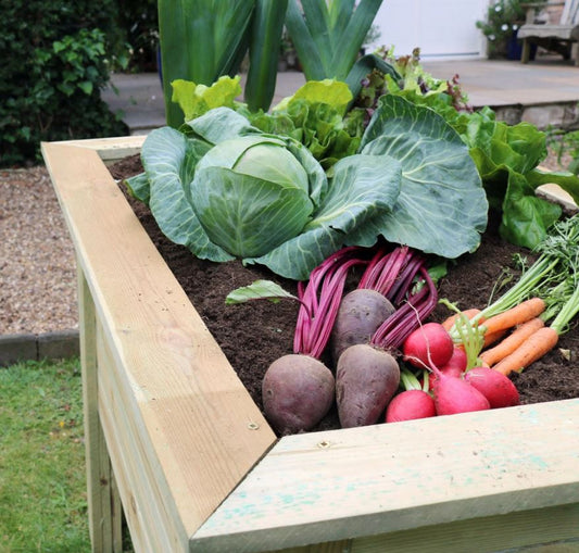 Deep Root Planter 1m