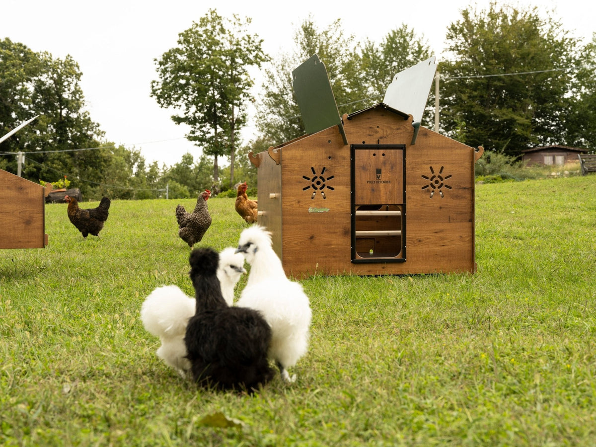Easicoop Chalet 2XL - HPL Chicken Coop up to 10-15 large Birds
