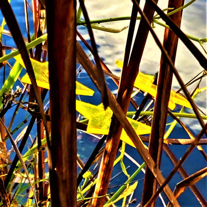 Small Garden Décor Ornaments Set of 3 Shining Stars