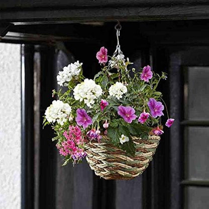12in Trinity Garden Hanging Basket