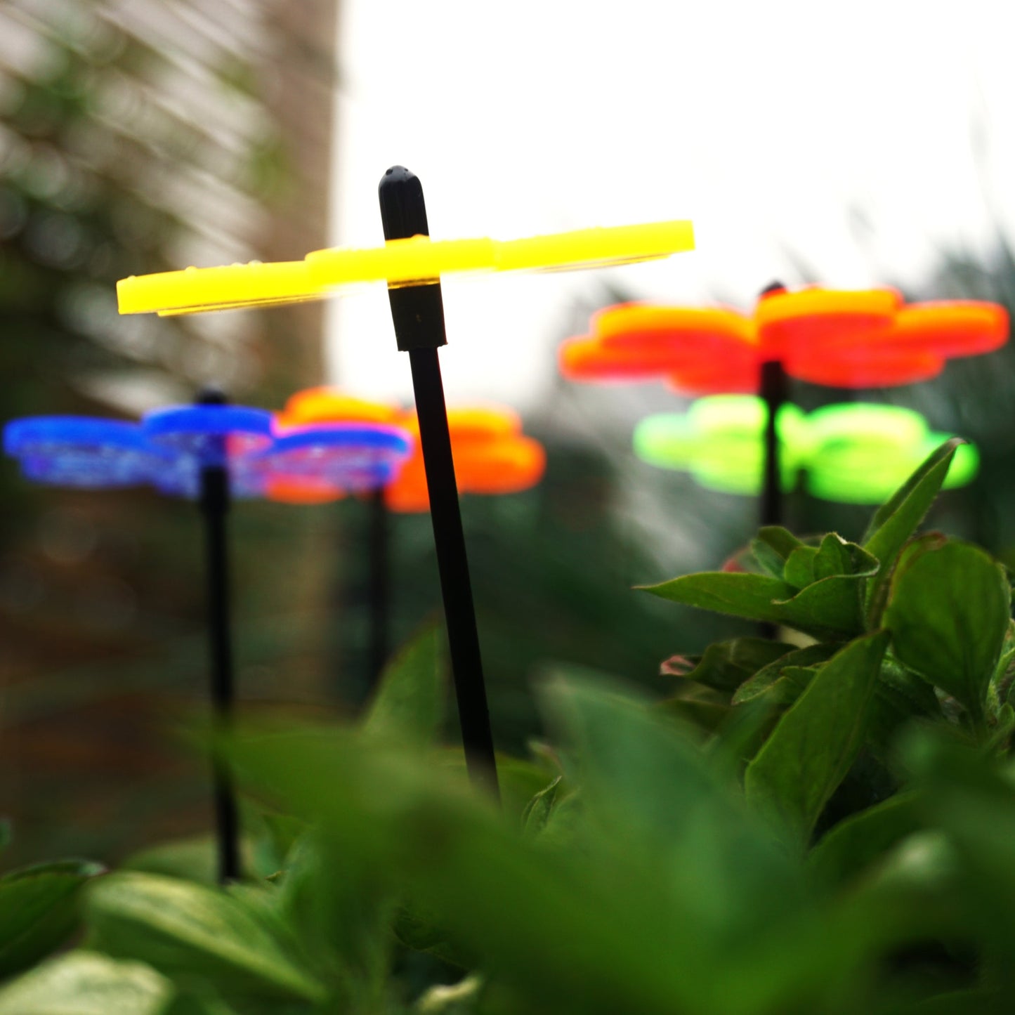 Small Garden Décor Ornaments Set of 5 Daisy