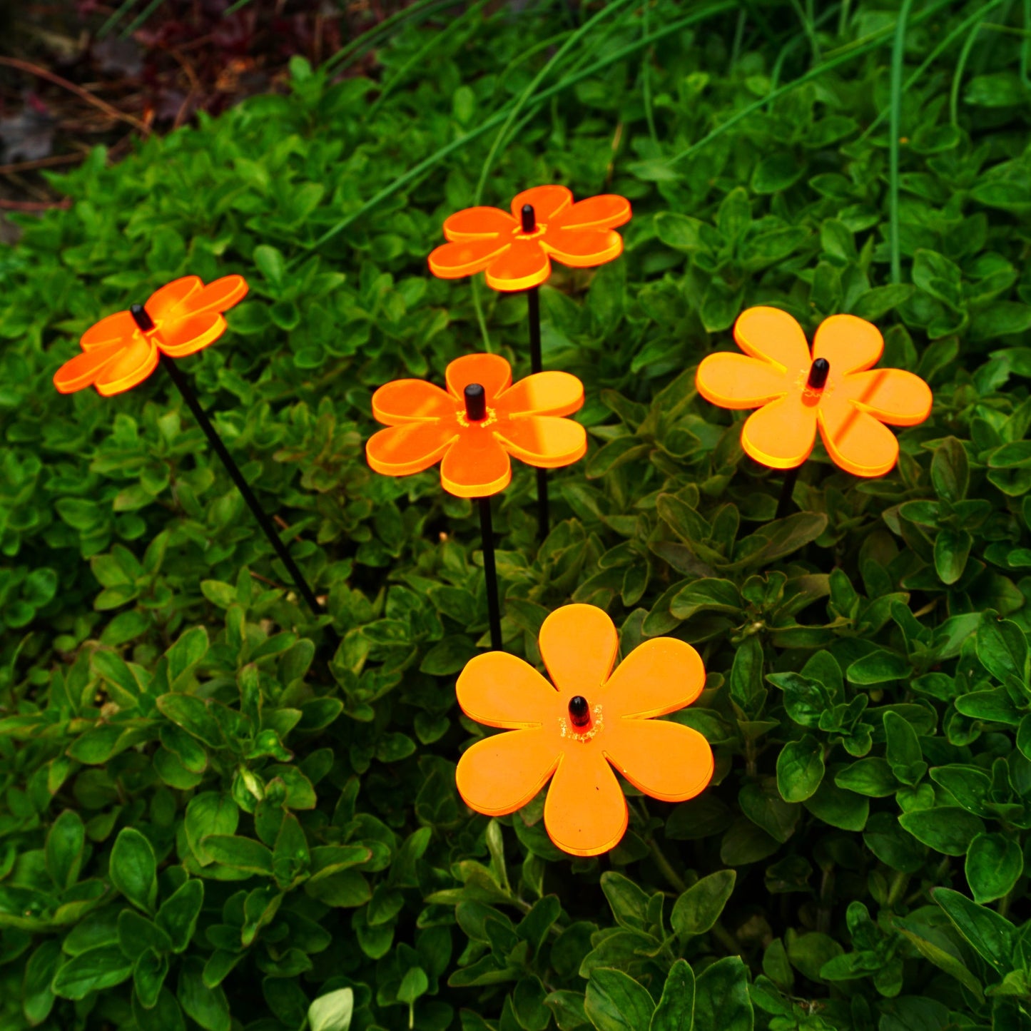 Small Garden Décor Ornaments Set of 5 Daisy