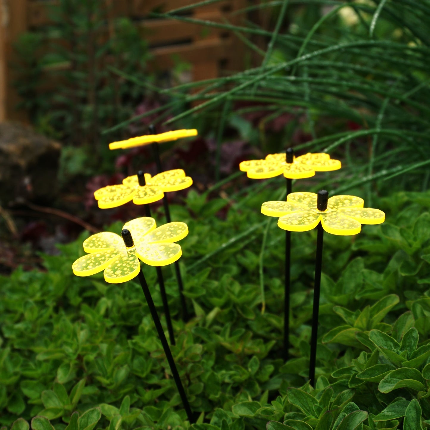 Small Garden Décor Ornaments Set of 5 Daisy