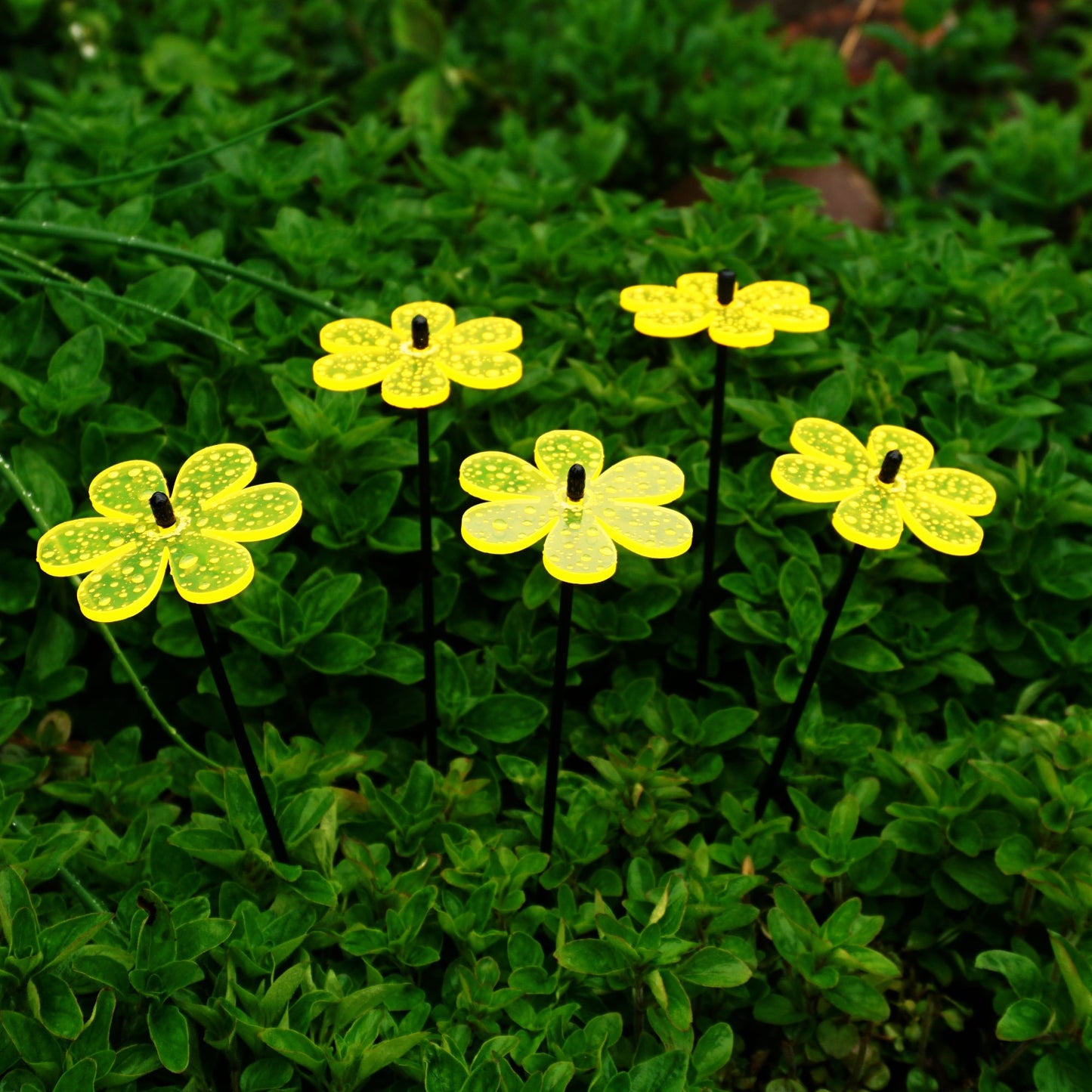 Small Garden Décor Ornaments Set of 5 Daisy