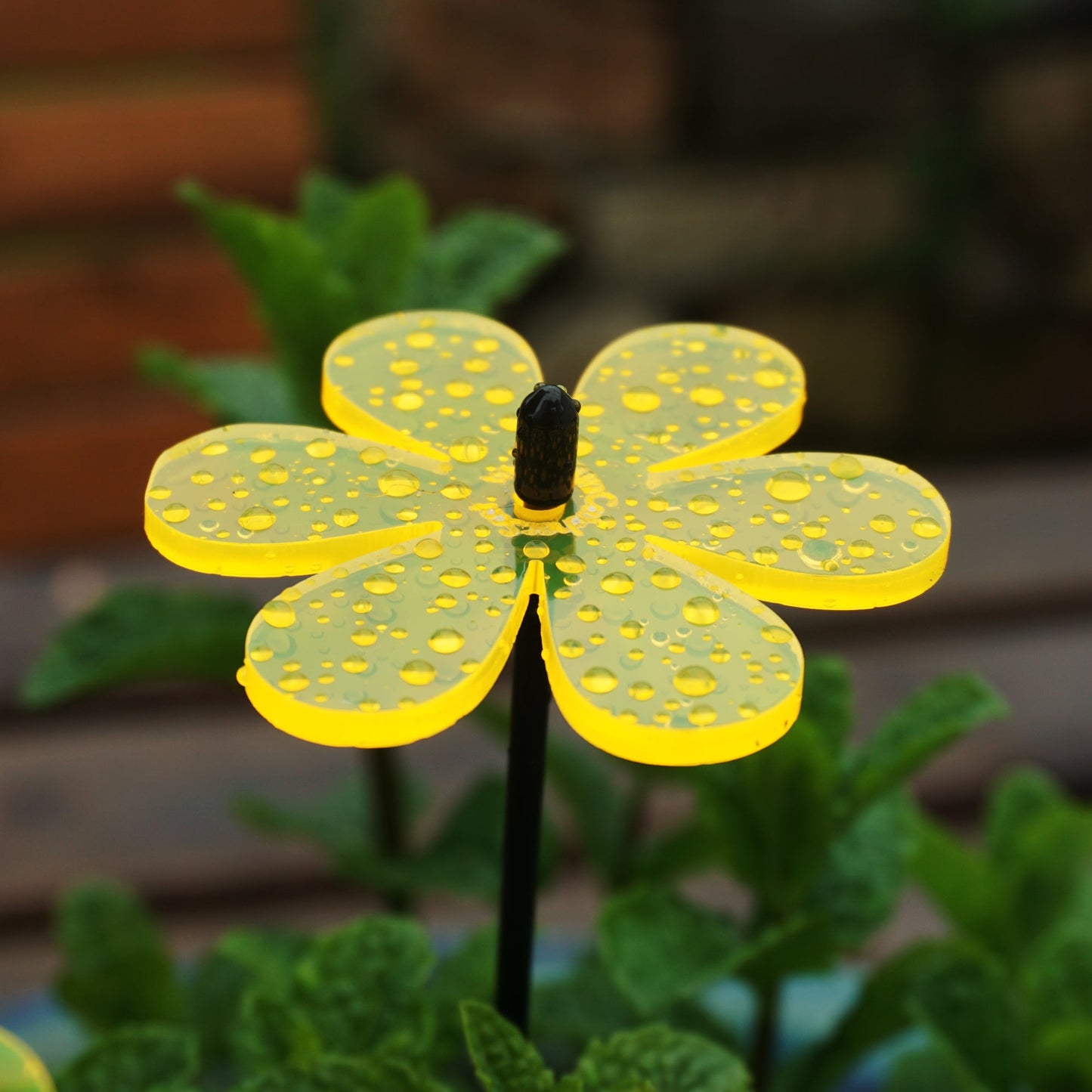 Small Garden Décor Ornaments Set of 5 Daisy