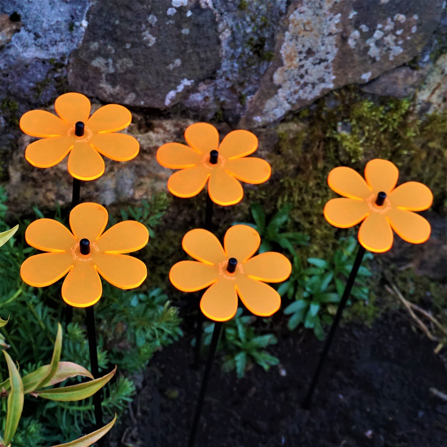 Garden Décor Ornaments Set of 5 'Daisies'