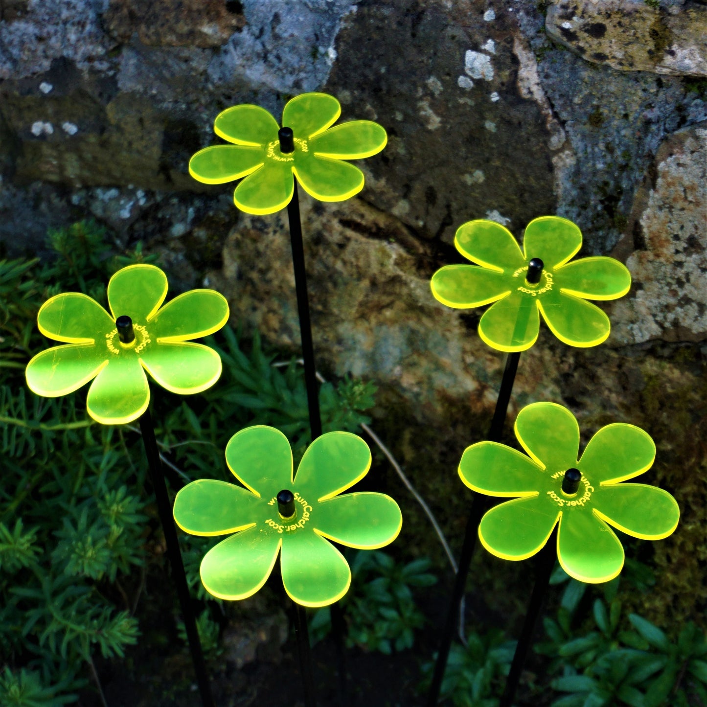 Garden Décor Ornaments Set of 5 'Daisies'