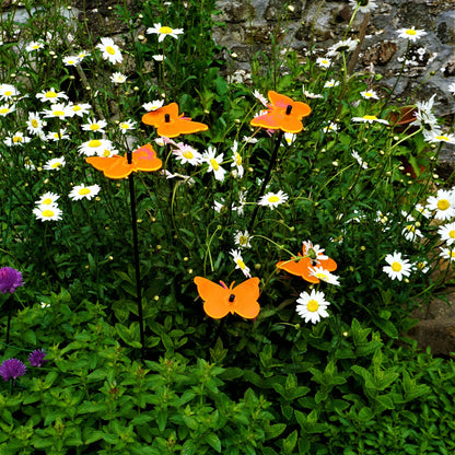 Garden Décor Ornaments Set of 5 'Gatekeeper Butterflies'