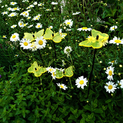 Garden Décor Ornaments Set of 5 'Gatekeeper Butterflies'