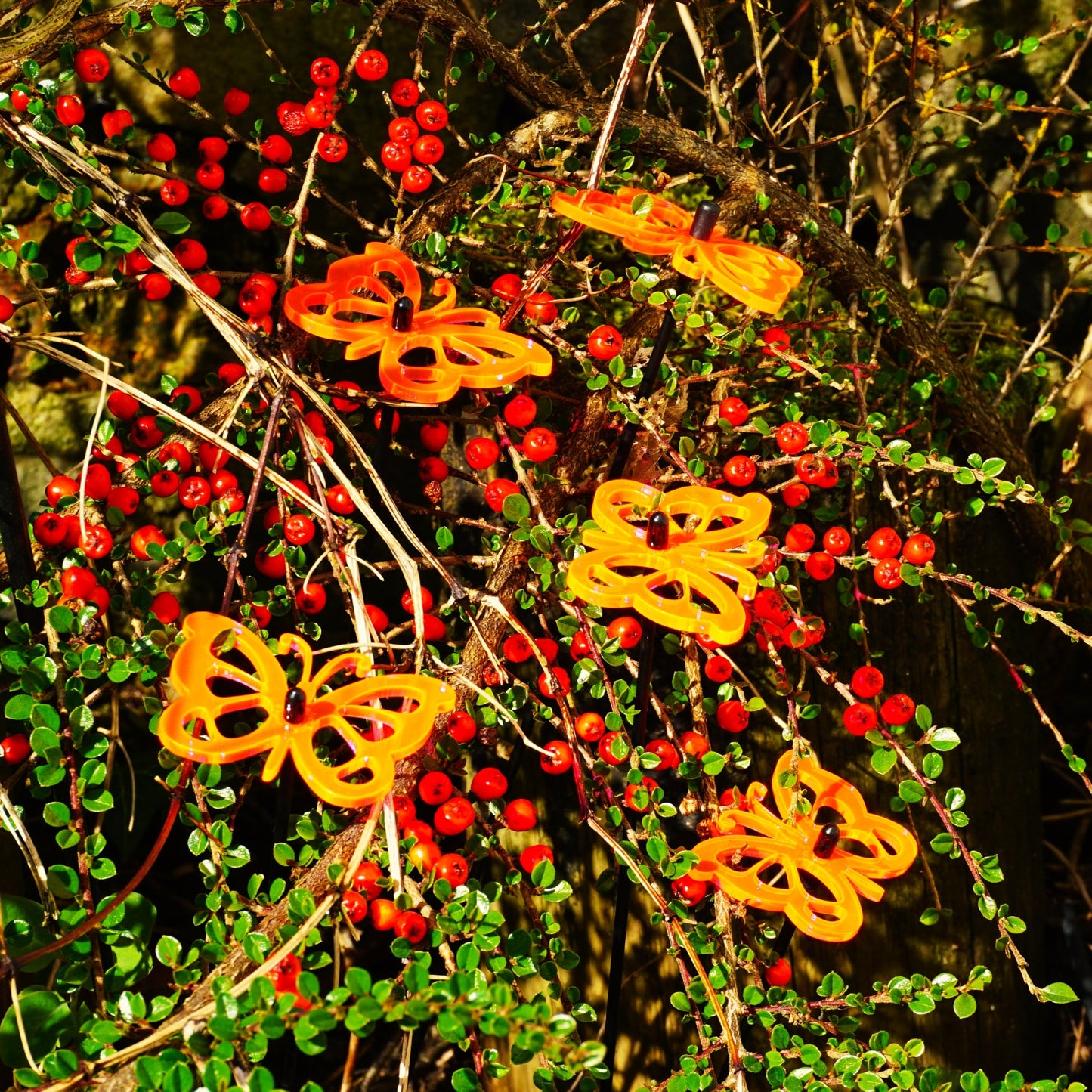 Large Garden Décor Ornaments Set of 5 'Comma Butterflies'