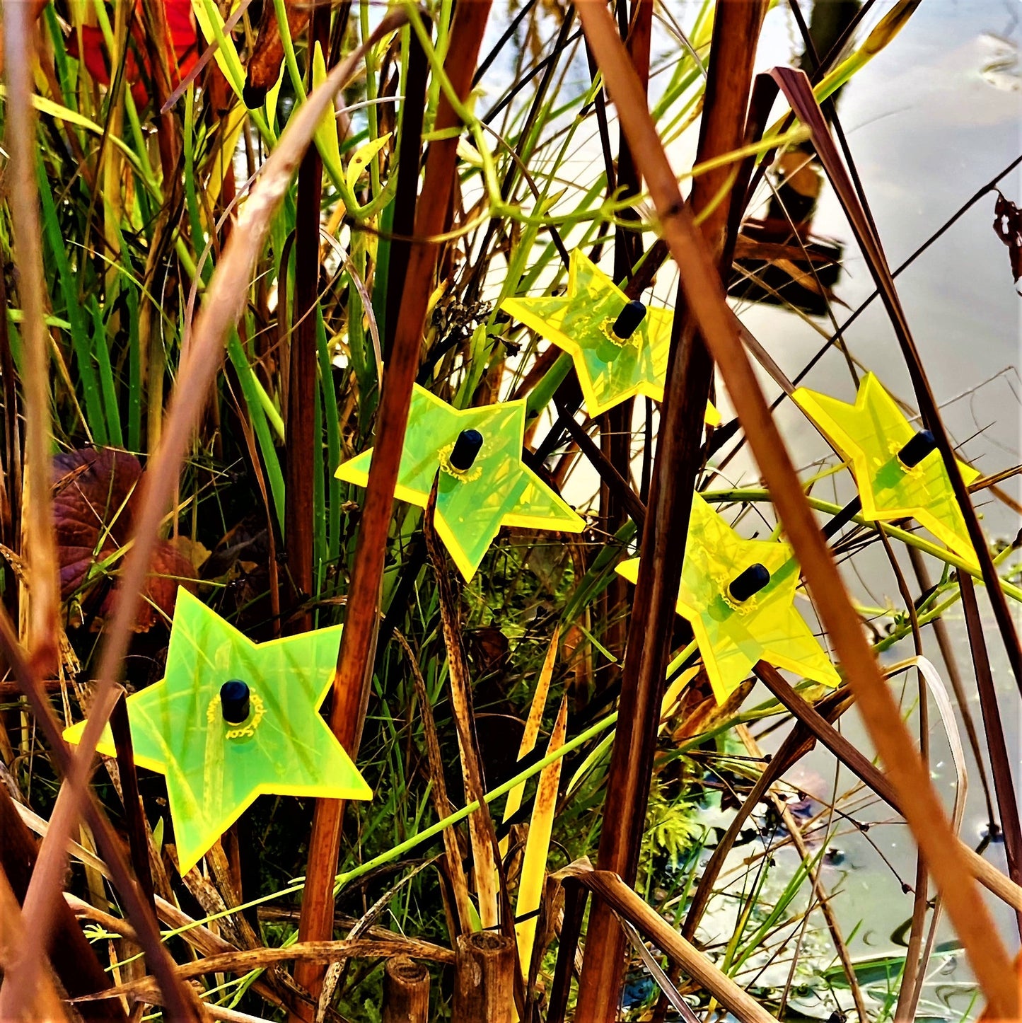 Garden Décor Ornaments Set of 5 small 'Shining Stars'