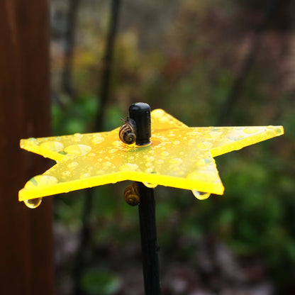 Garden Décor Ornaments Set of 5 'Shining Stars'