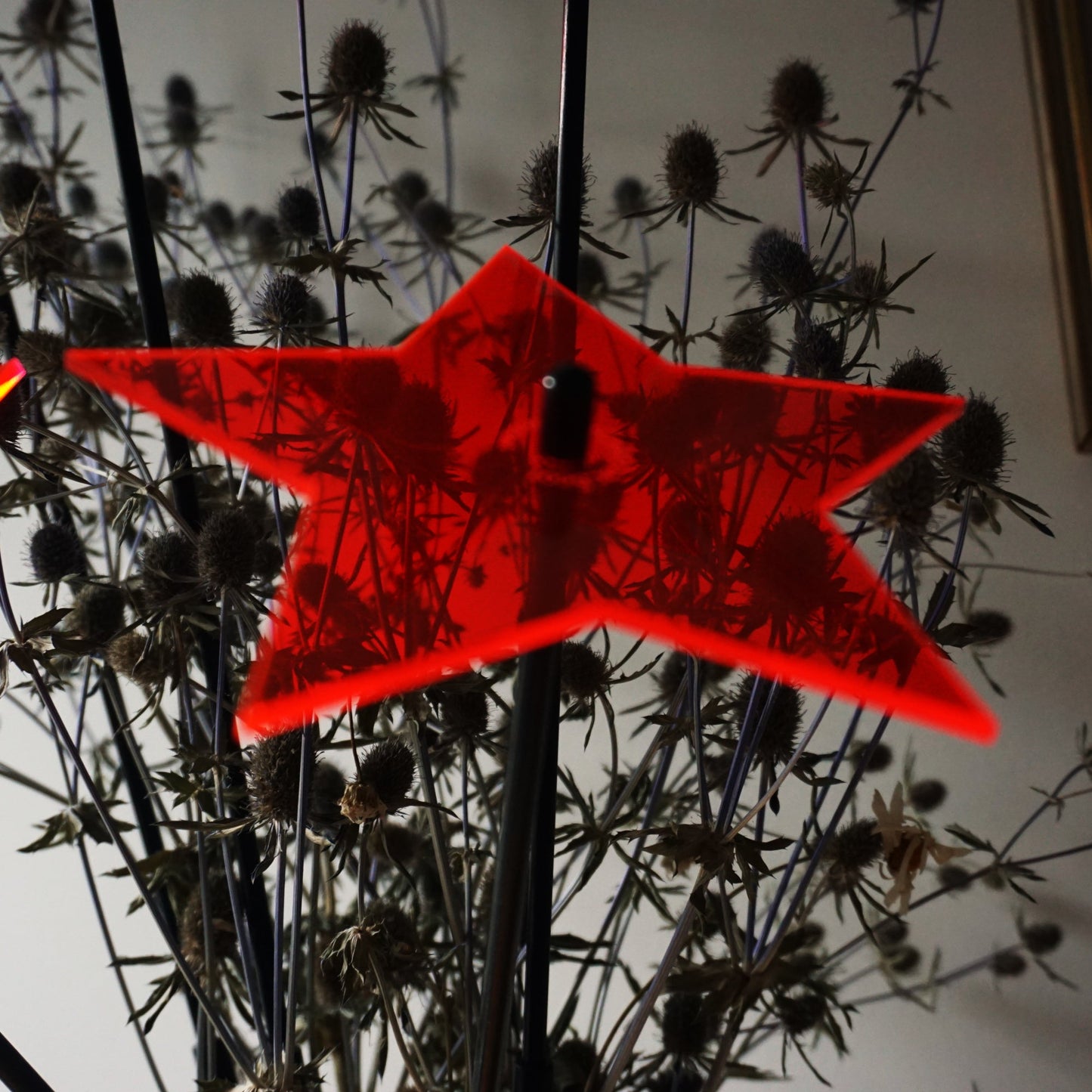 Large Garden Décor Ornaments Set of 5 'Shining Stars'