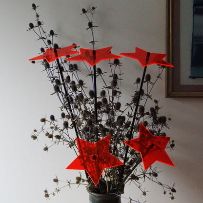 Large Garden Décor Ornaments Set of 5 'Shining Stars'