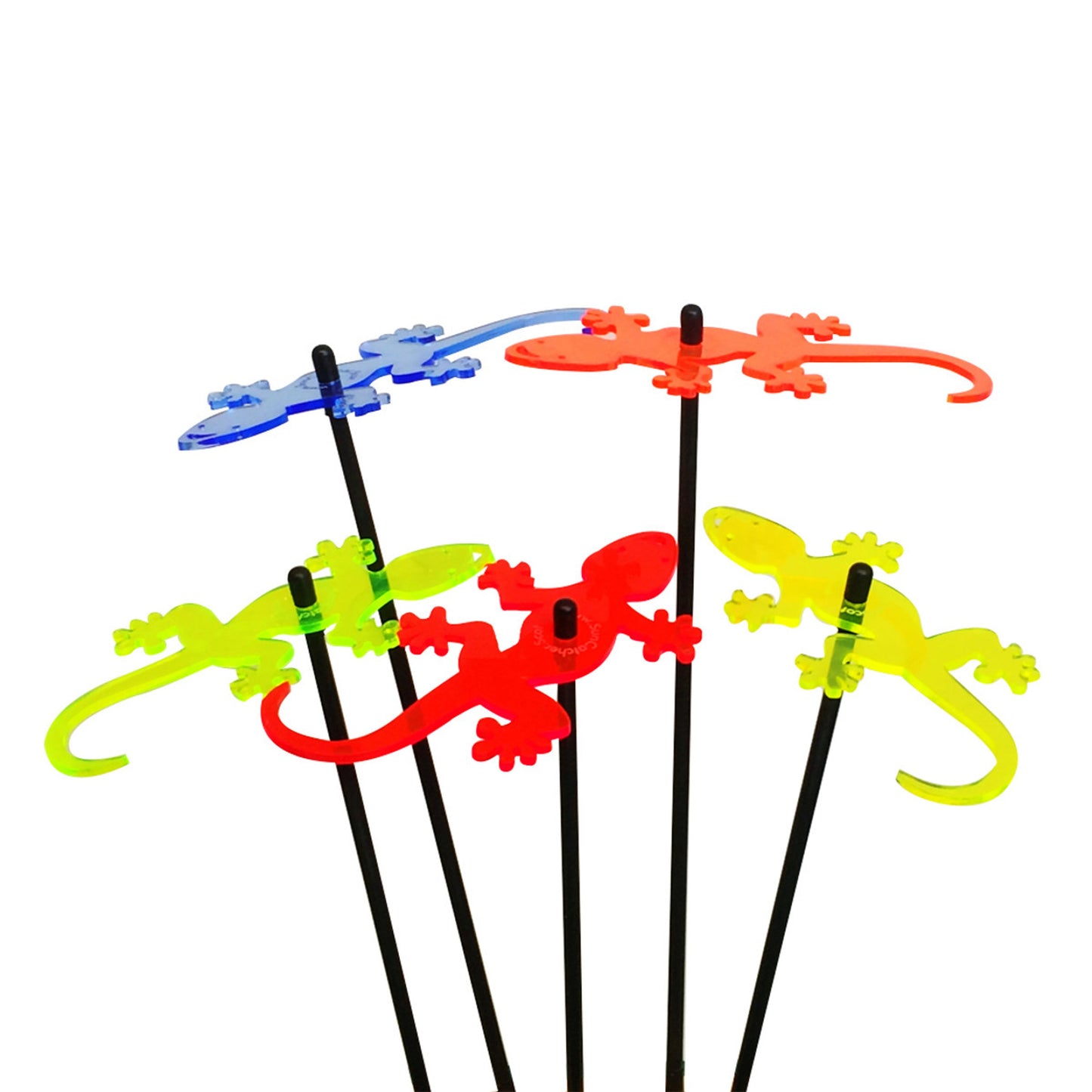 Large Garden Décor Ornaments Set of 5 'Geckos'