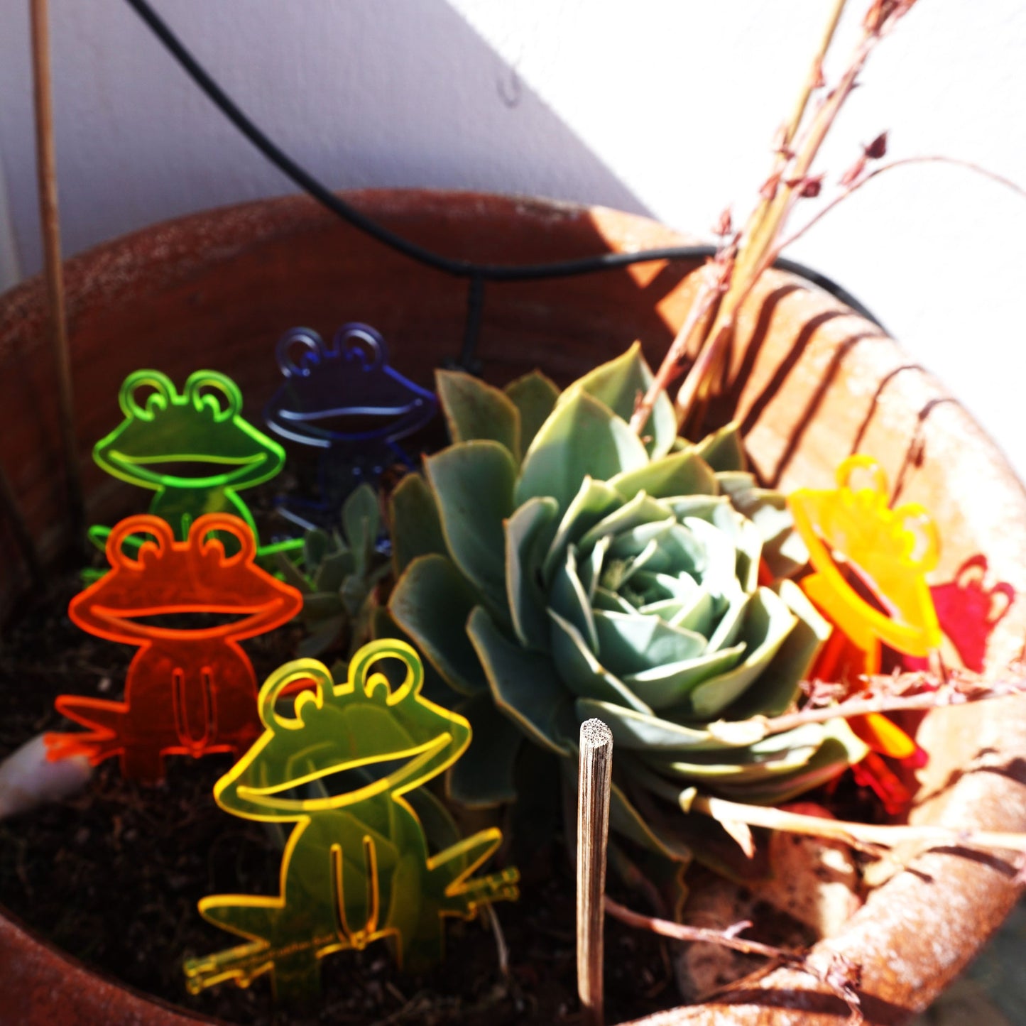 Garden Décor Ornament Stakes Set of 5 'Happy Frogs'