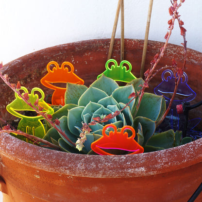 Garden Décor Ornament Stakes Set of 5 'Happy Frogs'