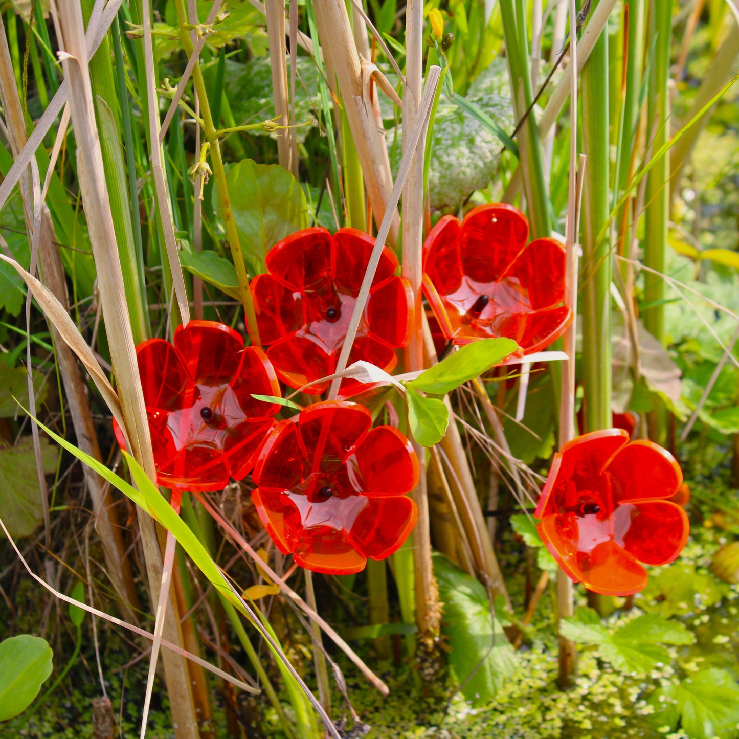 Small SunCatcher Garden Décor Ornament Set of 5 'Tulip'