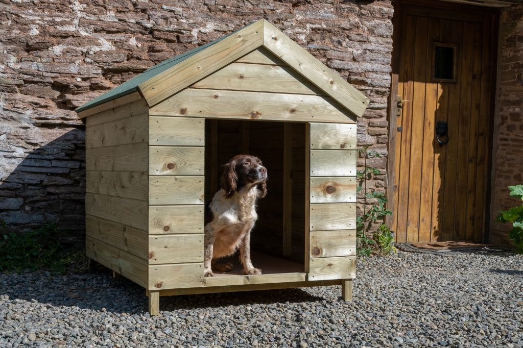Forest Dog Kennel