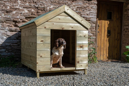 Forest Dog Kennel
