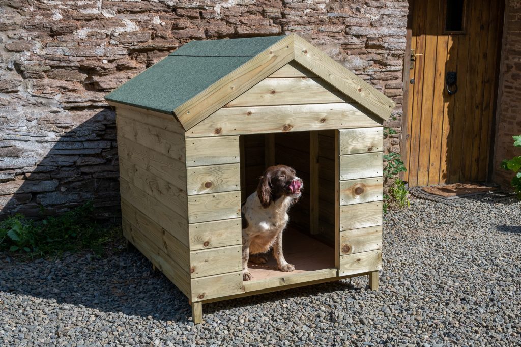 Forest Dog Kennel