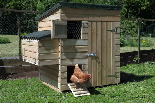 Forest Hen House