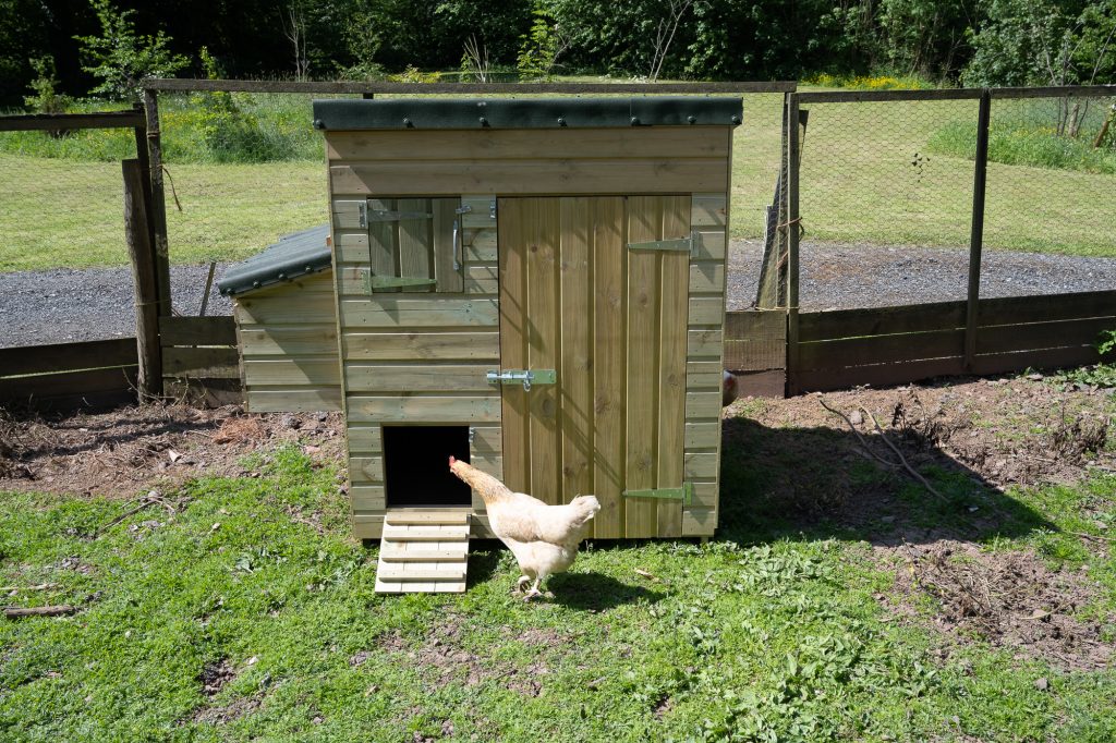 Forest Hen House