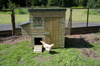 Forest Hen House