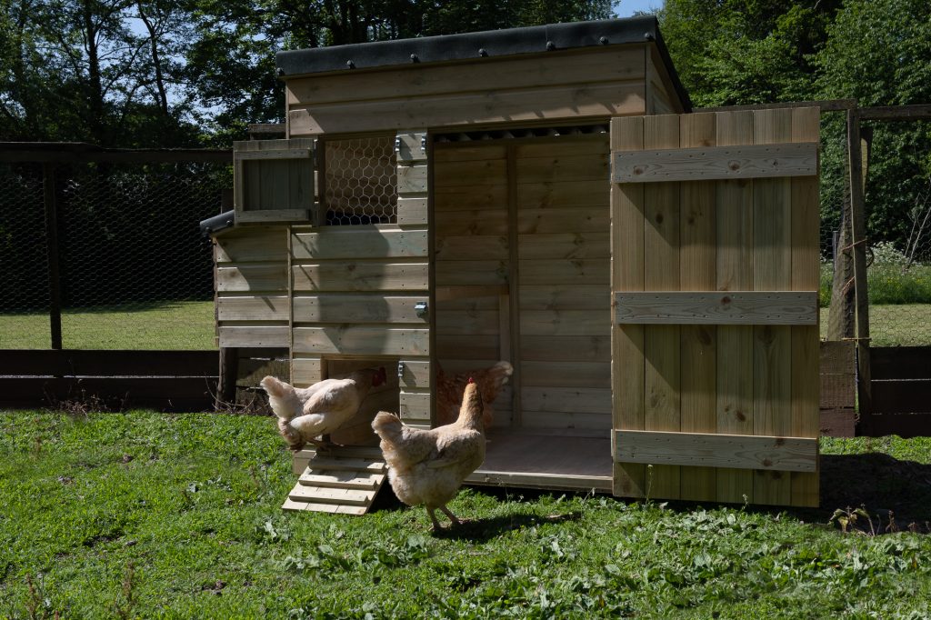 Forest Hen House