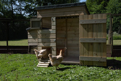 Forest Hen House