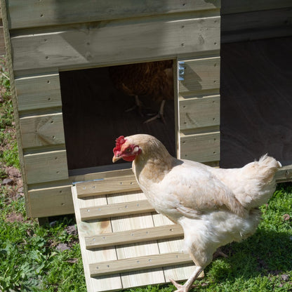 Forest Hen House