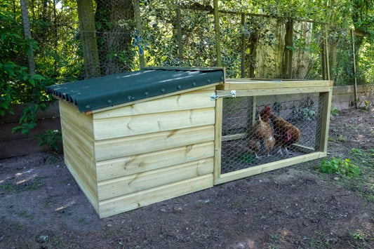 Forest Large Coop & Run