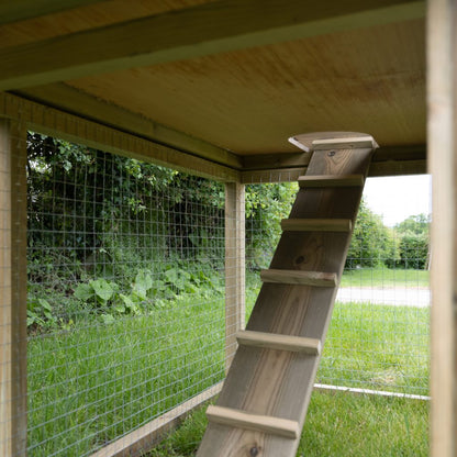 Forest Rabbit Hutch