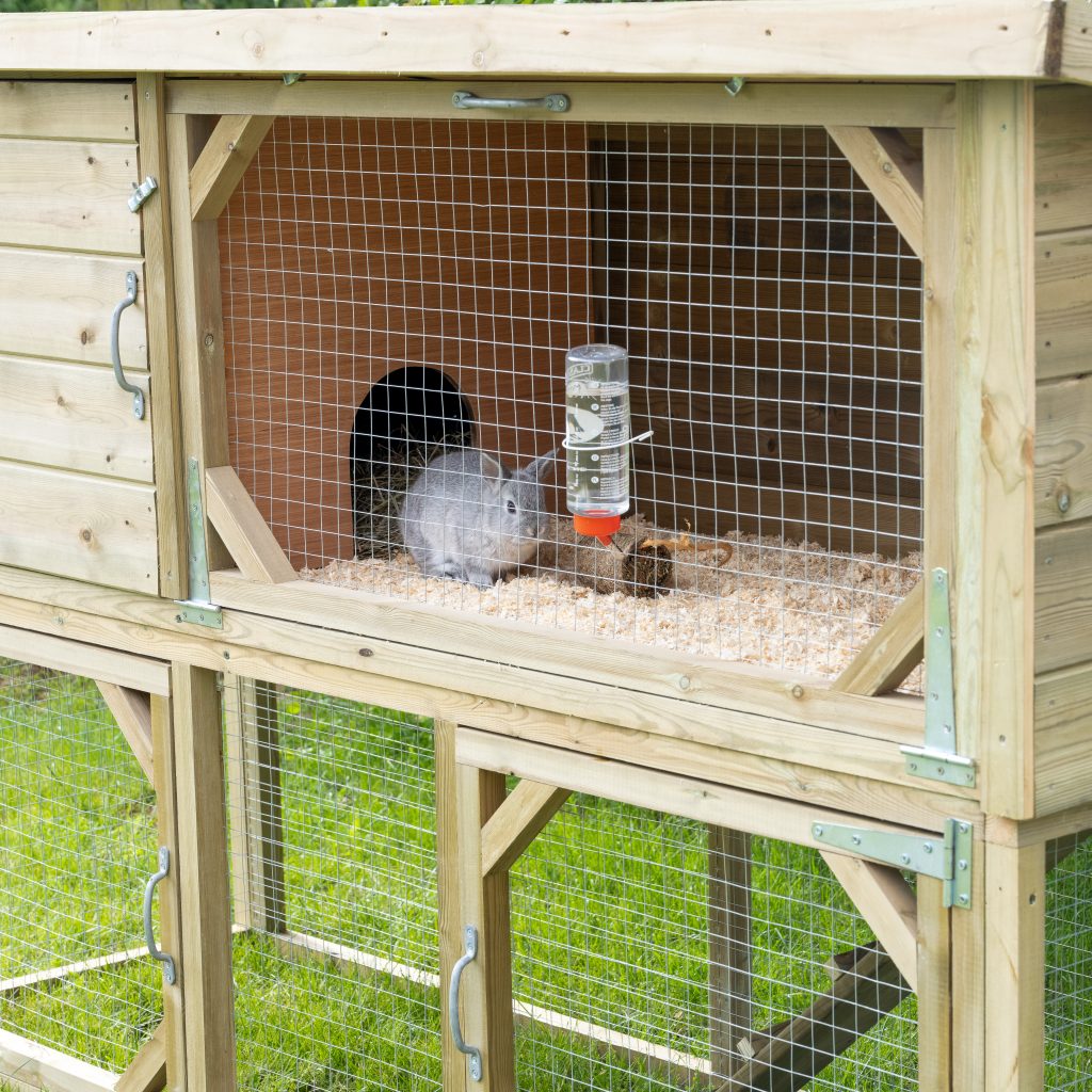 Forest Rabbit Hutch