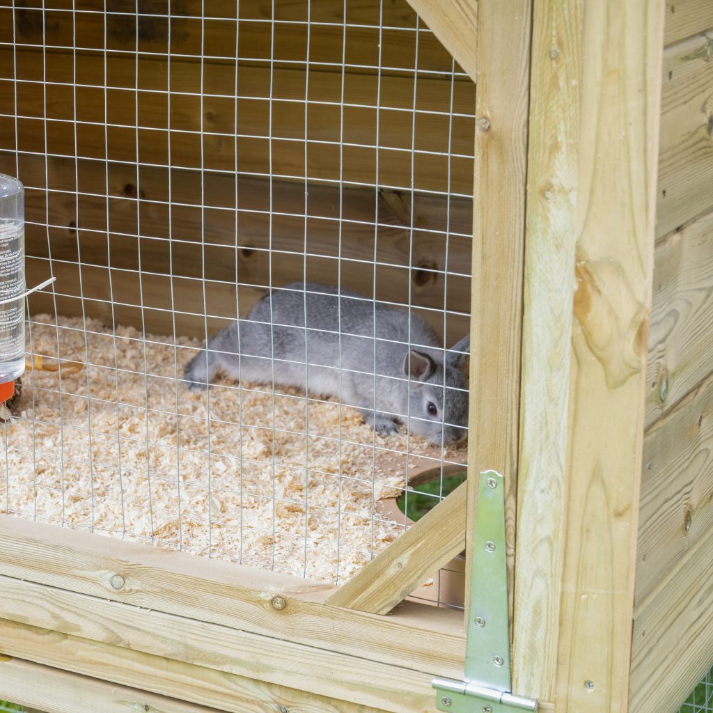 Forest Rabbit Hutch