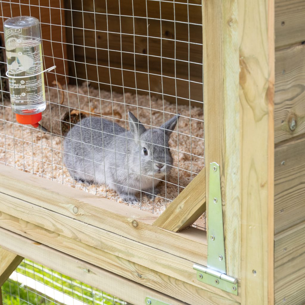 Forest Rabbit Hutch