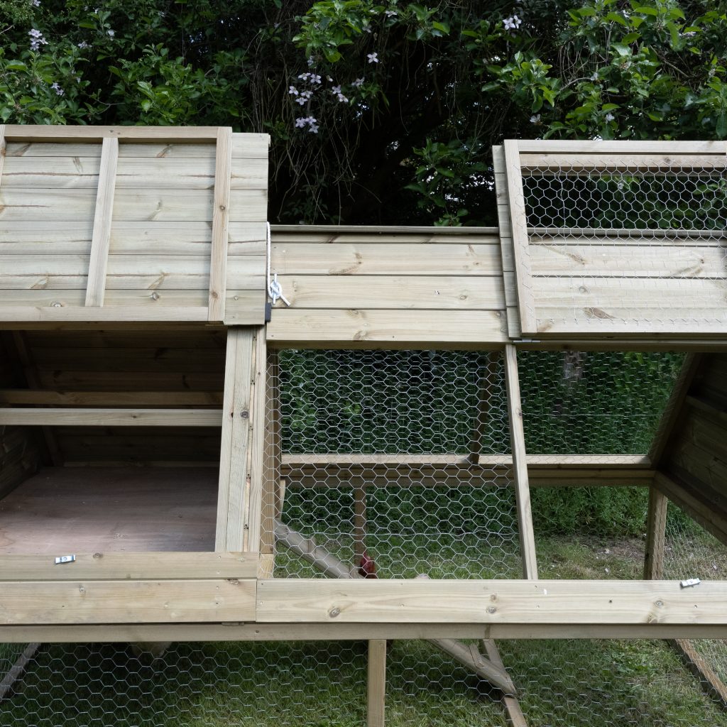 Forest Raised Ark