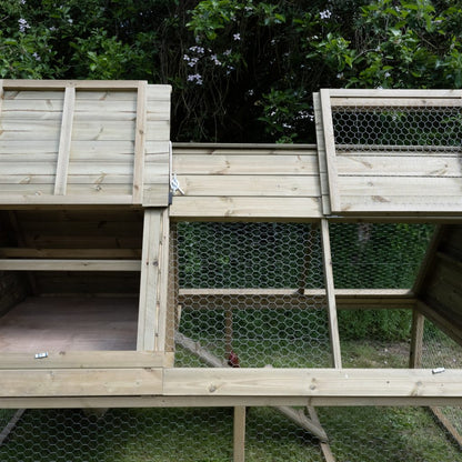 Forest Raised Ark