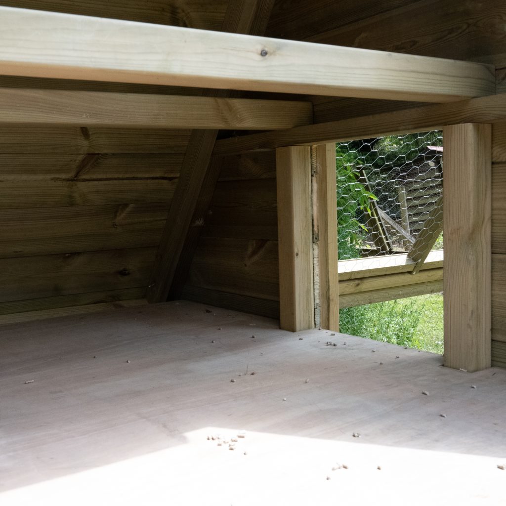 Forest Raised Ark