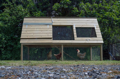 Forest Raised Ark