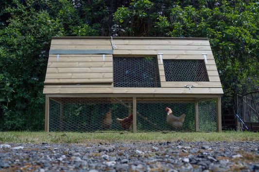 Forest Raised Ark