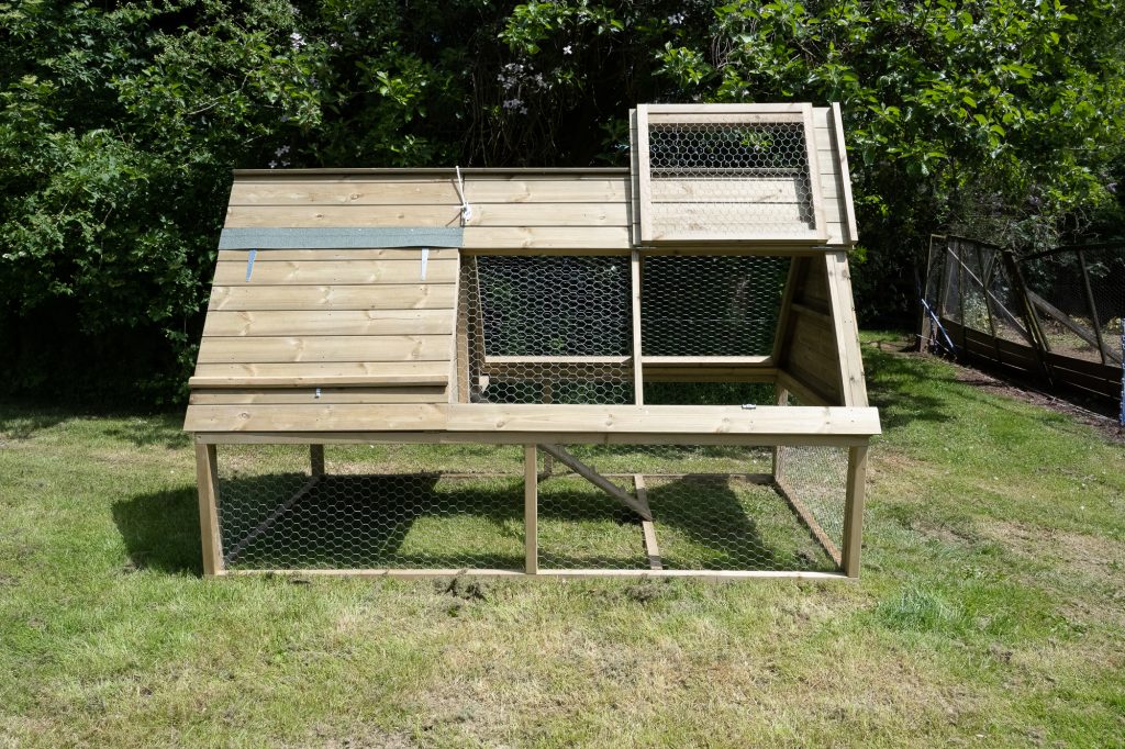 Forest Raised Ark