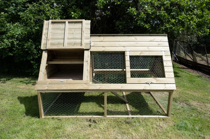 Forest Raised Ark