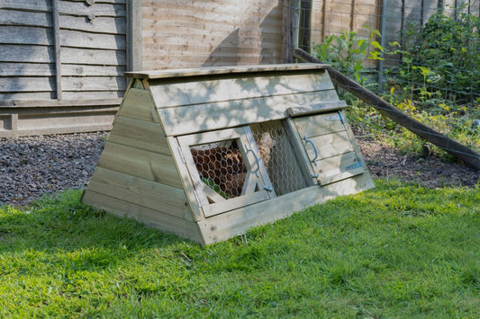 Forest Starter Coop