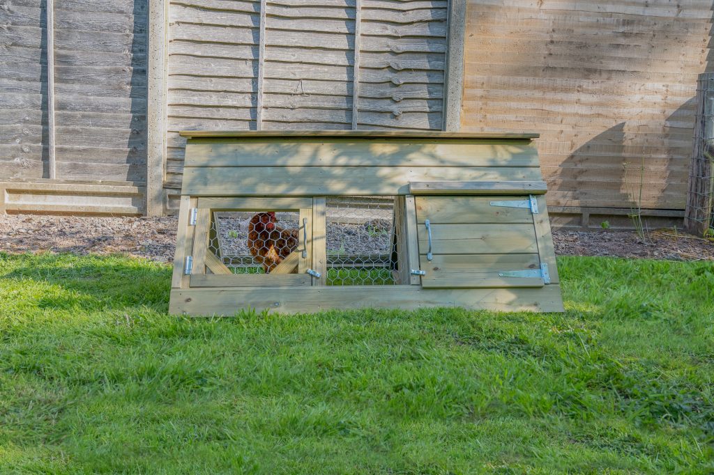 Forest Starter Coop