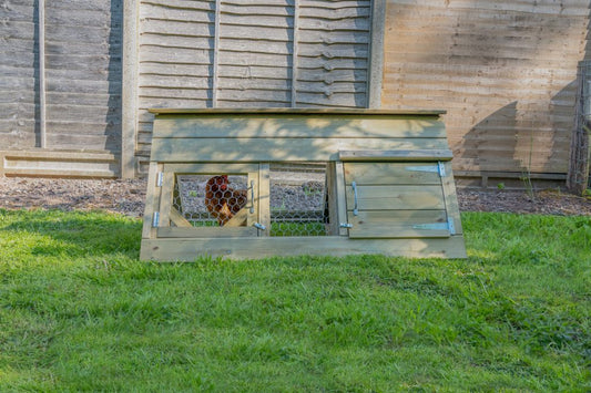 Forest Starter Coop