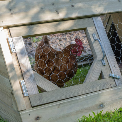 Forest Starter Coop