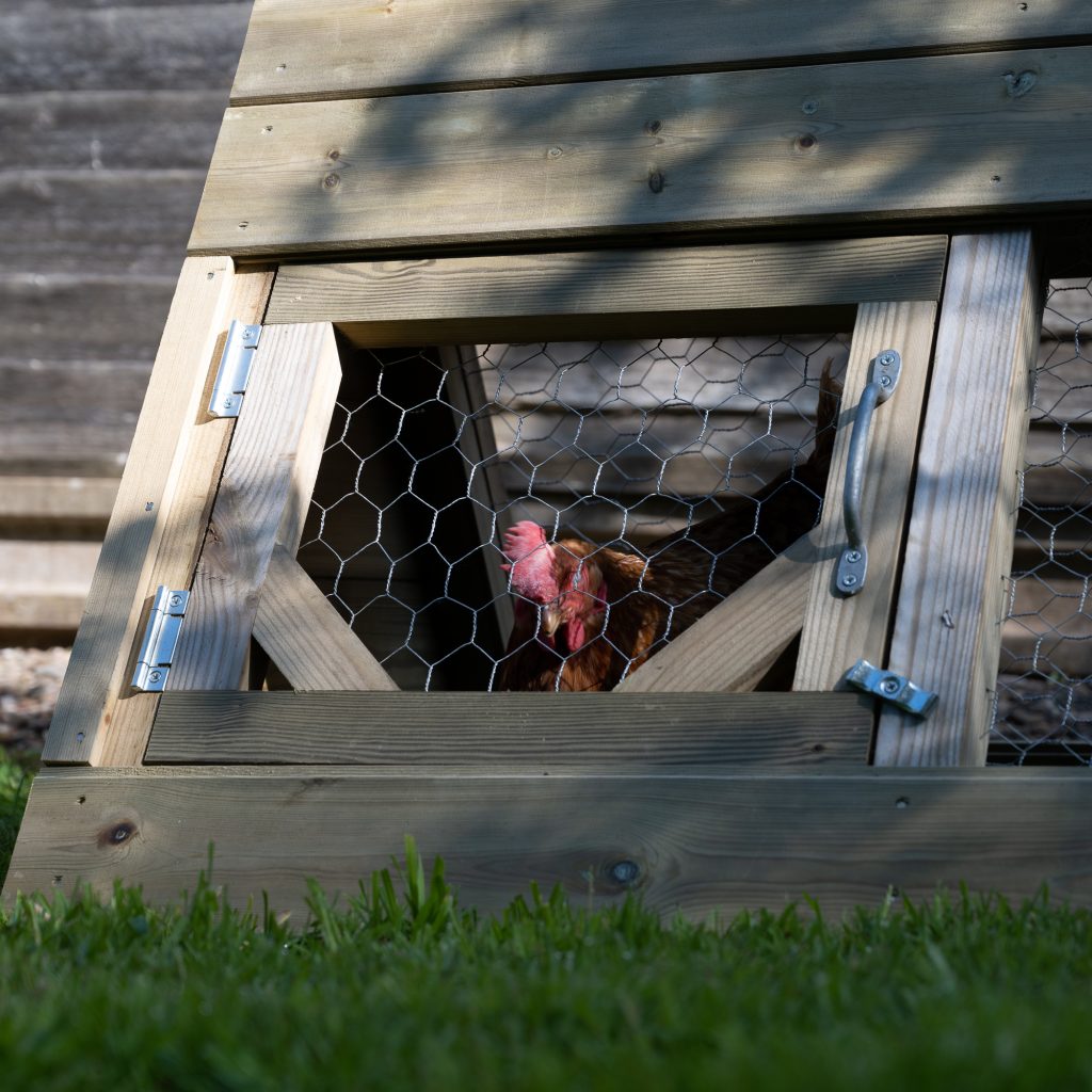 Forest Starter Coop